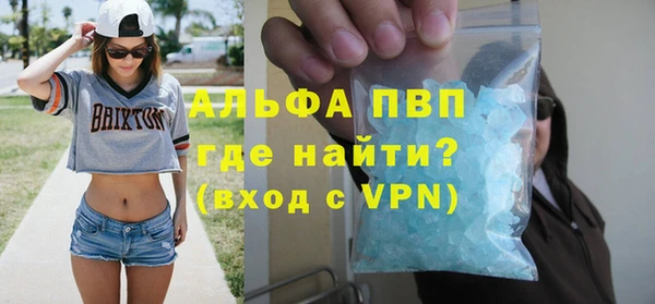 мдпв Бородино