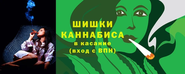 мдпв Бородино