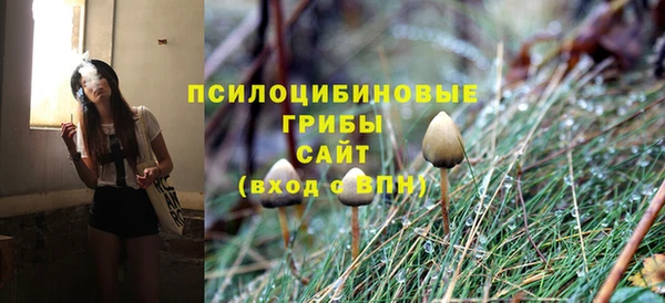 прущая мука Заполярный