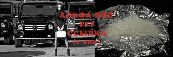 мдпв Бородино