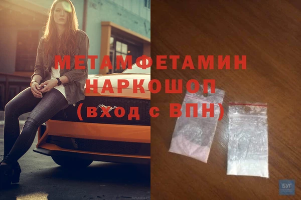 прущие грибы Бронницы