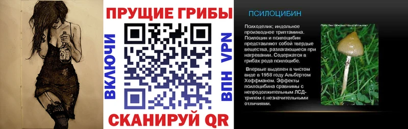 Галлюциногенные грибы прущие грибы  MEGA зеркало  Кондрово 